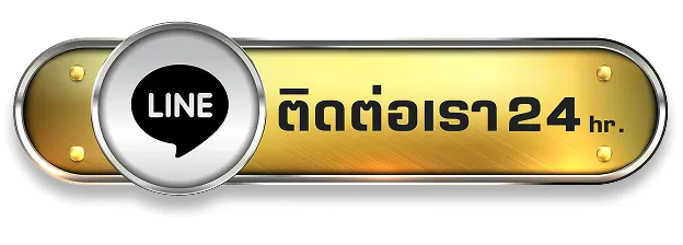 dg winner-ติดต่อ